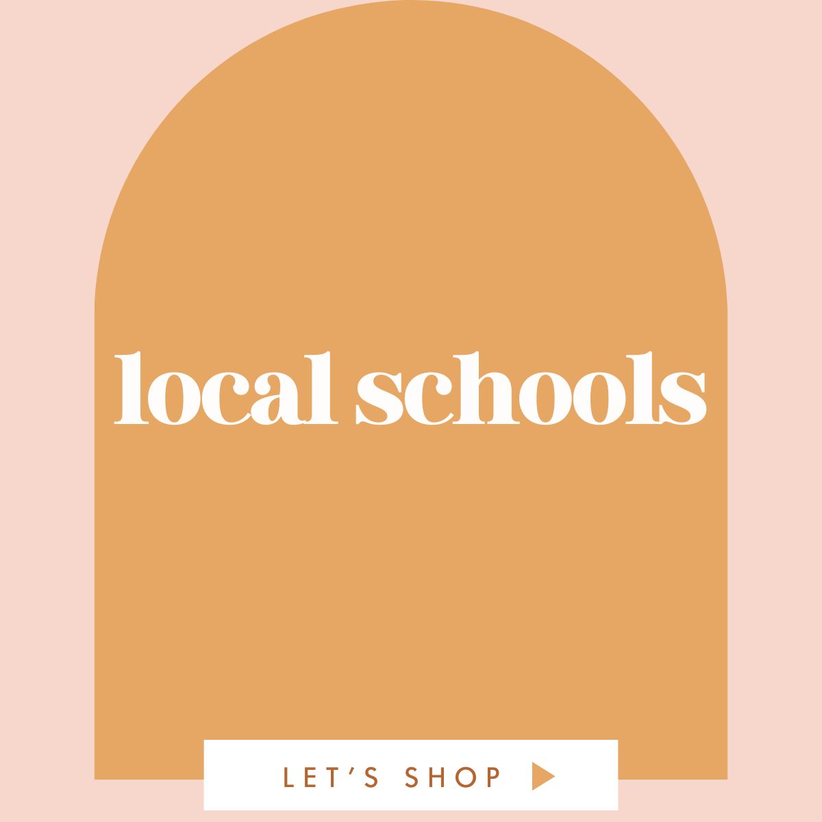 local schools